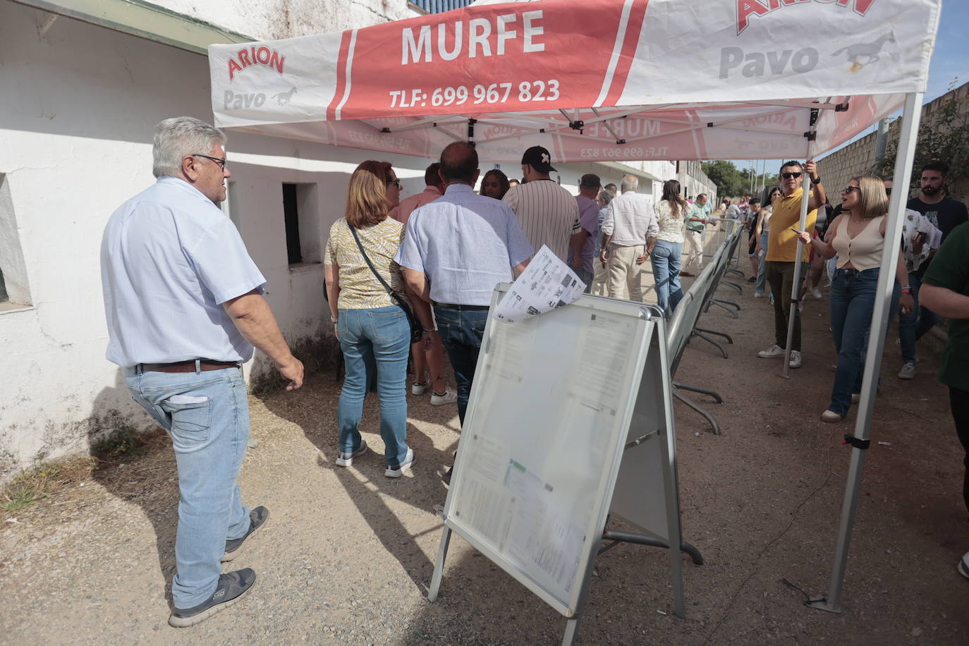 Concurso Nacional de Saltos en la preferia de Cáceres, en imágenes