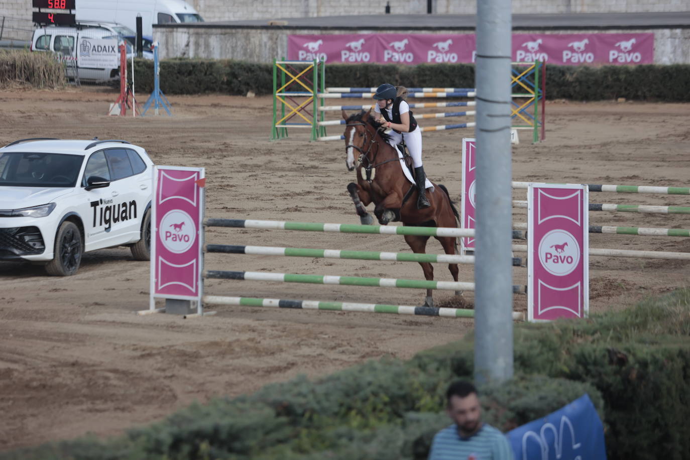 Concurso Nacional de Saltos en la preferia de Cáceres, en imágenes