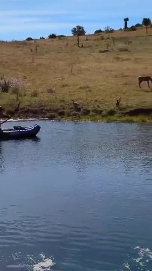 XXII Campeonato de Extremadura de Recorrido de Caza con Arco en Plasencia