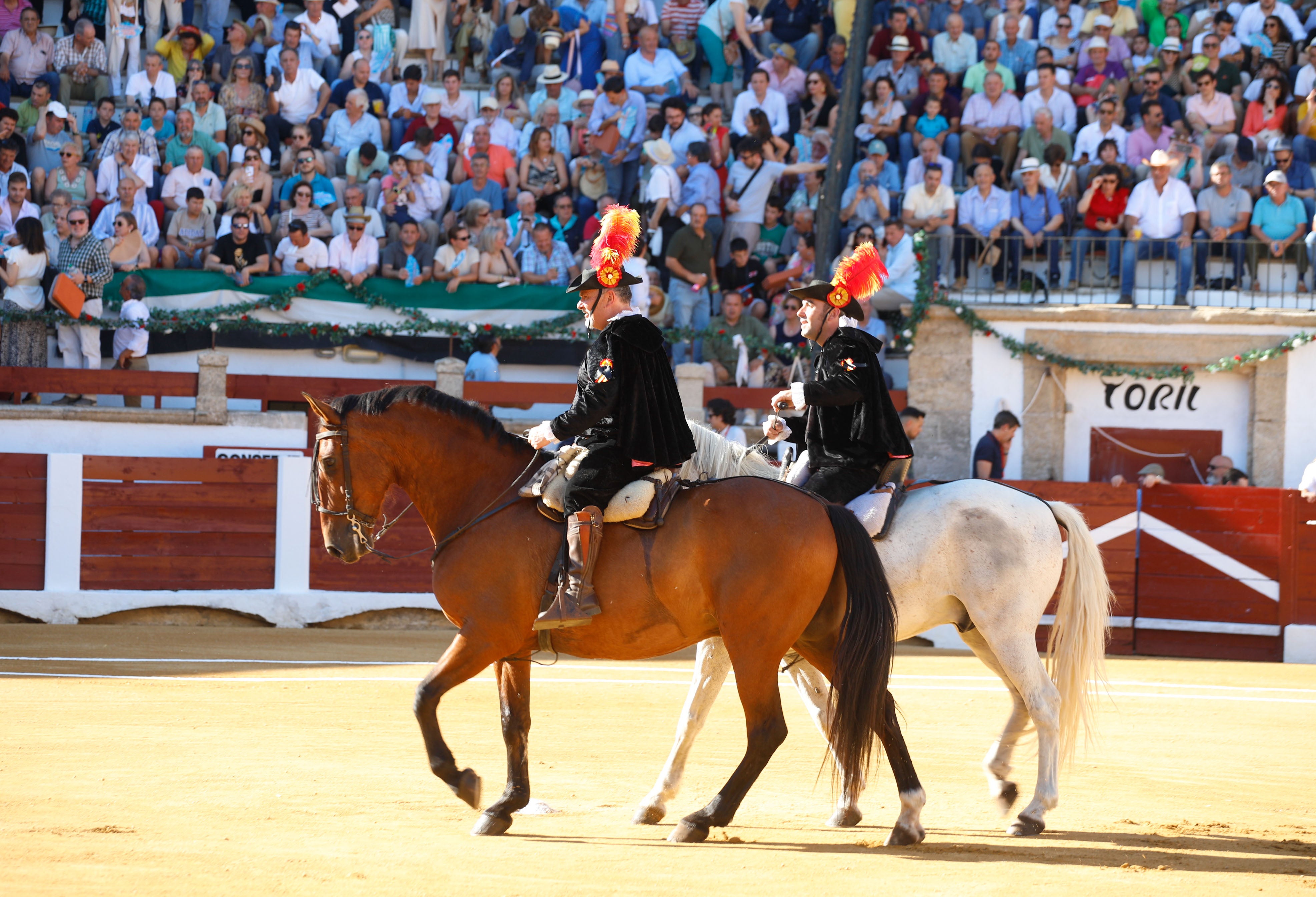 Fotos | Las mejores imágenes del regreso de los toros a Cáceres (I)