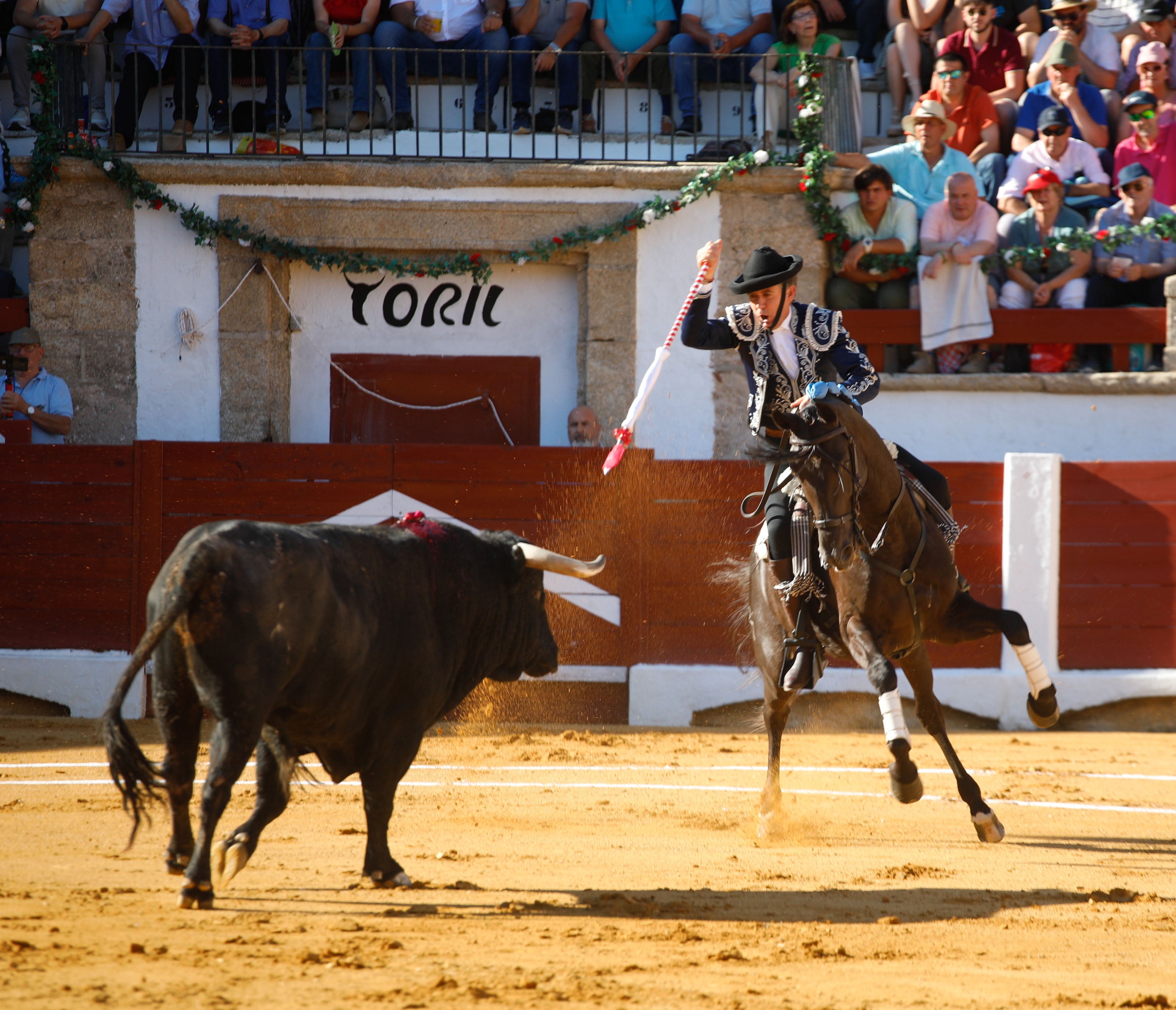 Fotos | Las mejores imágenes del regreso de los toros a Cáceres (I)