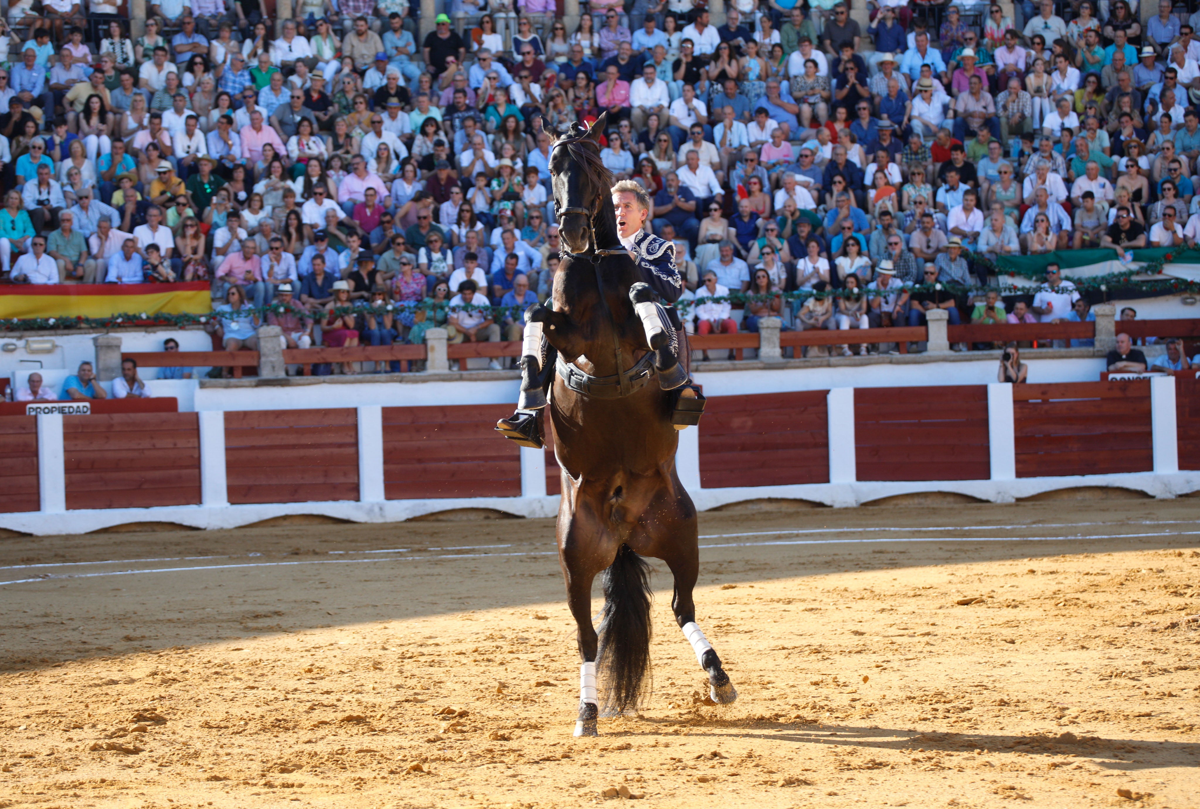 Fotos | Las mejores imágenes del regreso de los toros a Cáceres (I)