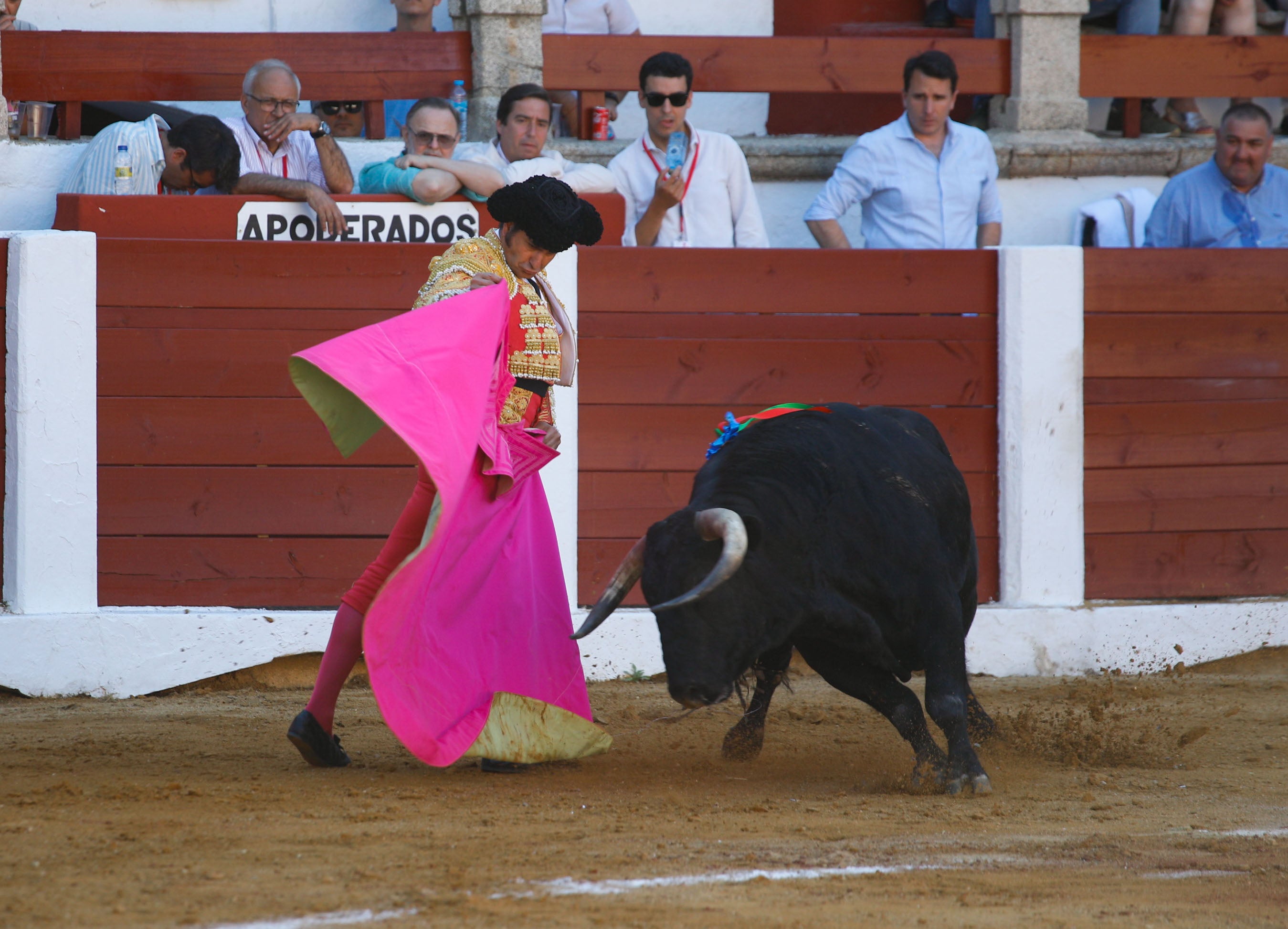 Fotos | Las mejores imágenes del regreso de los toros a Cáceres (I)