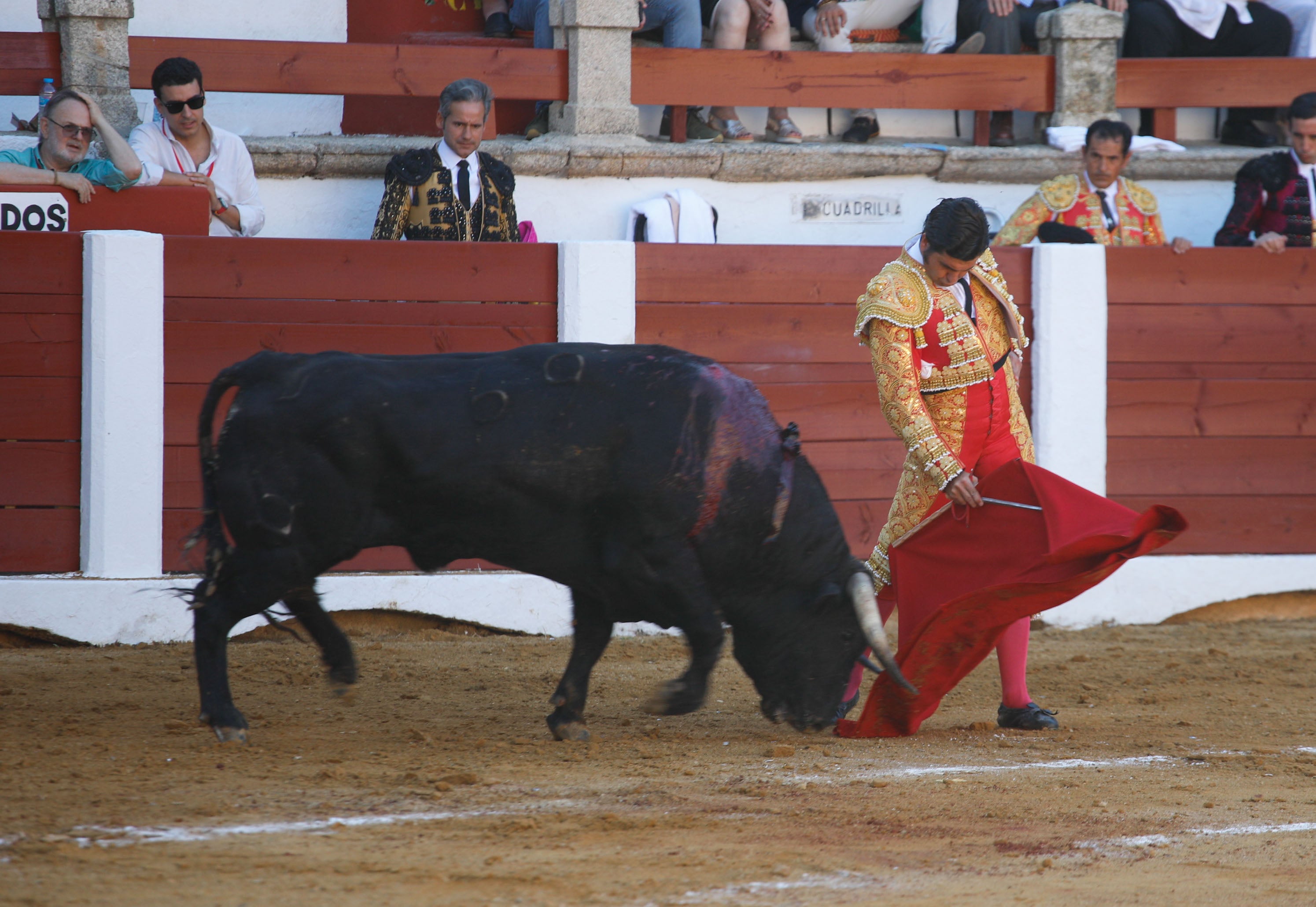 Fotos | Las mejores imágenes del regreso de los toros a Cáceres (I)