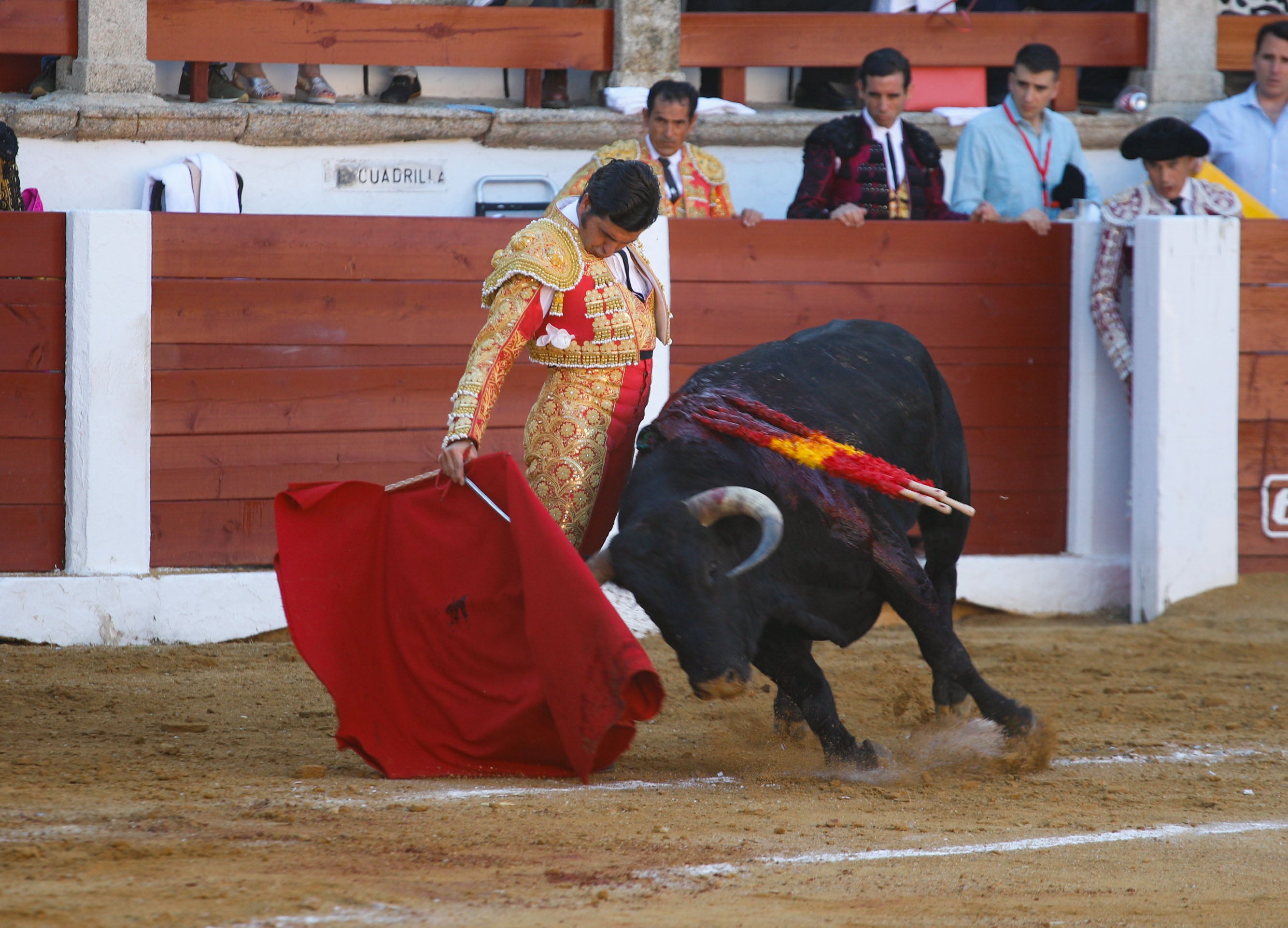 Fotos | Las mejores imágenes del regreso de los toros a Cáceres (I)