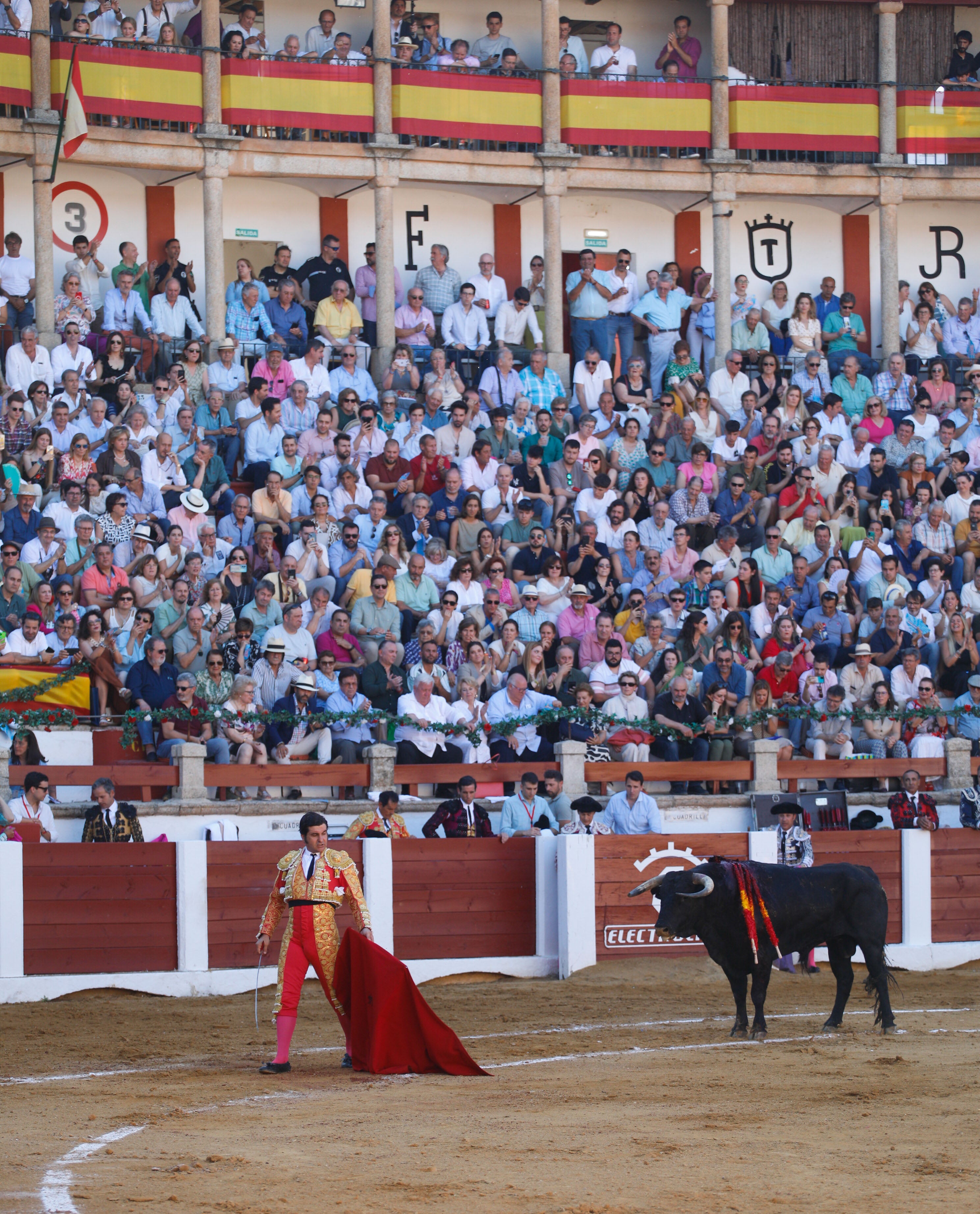 Fotos | Las mejores imágenes del regreso de los toros a Cáceres (I)