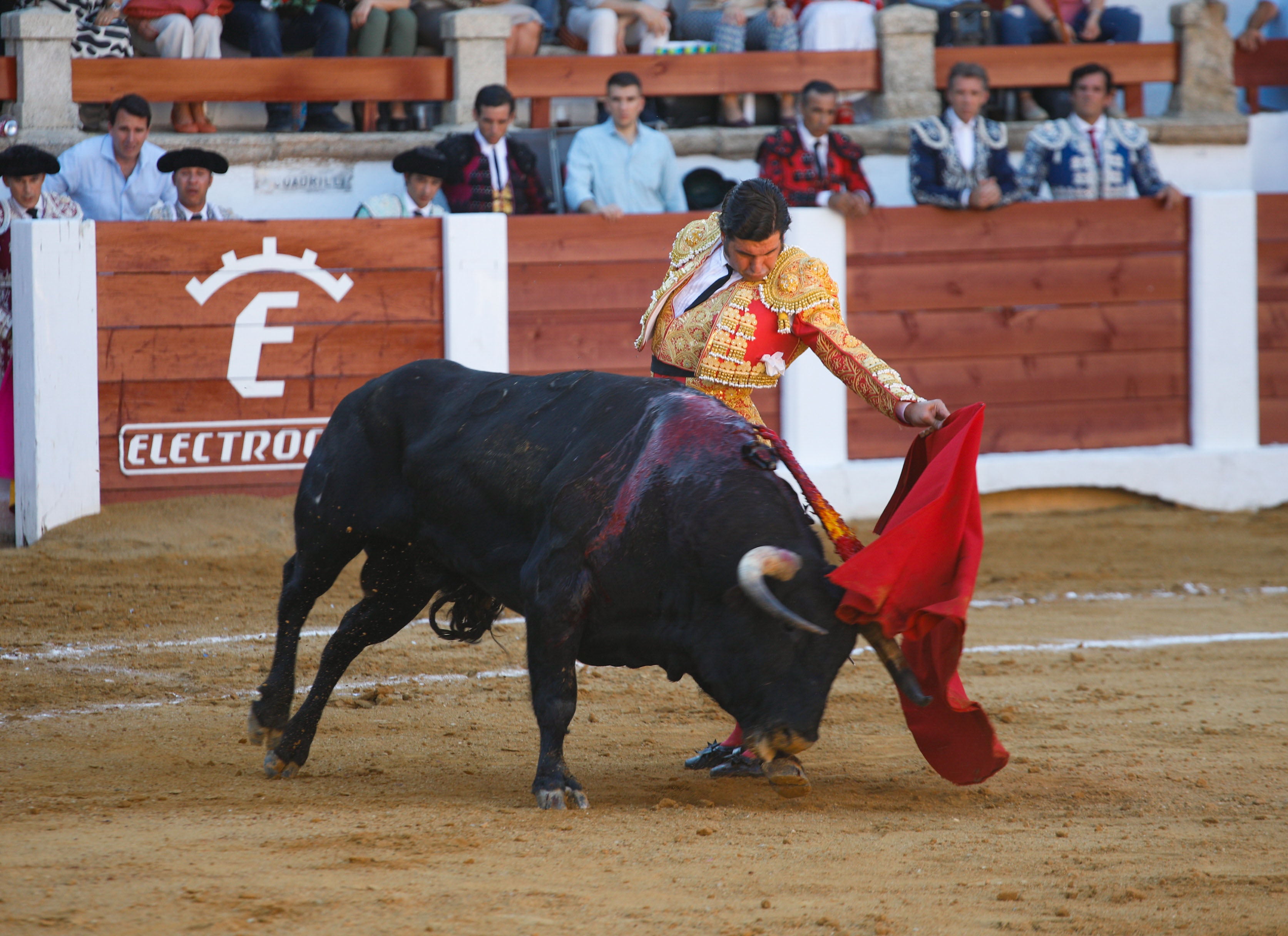 Fotos | Las mejores imágenes del regreso de los toros a Cáceres (I)