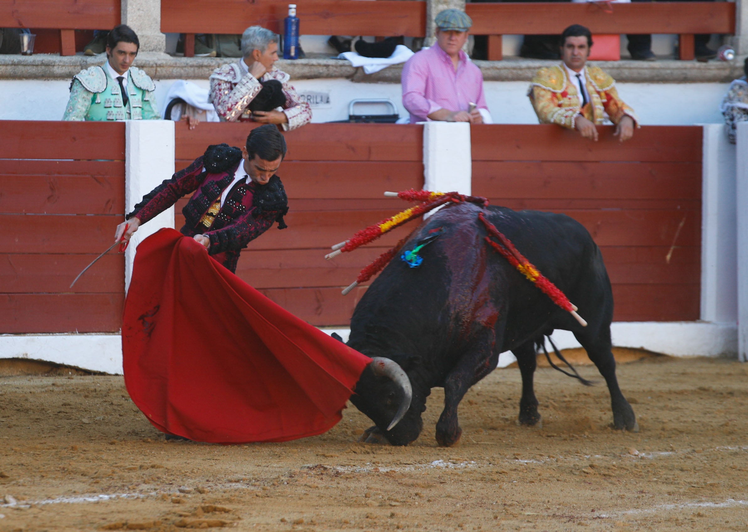 Fotos | Las mejores imágenes del regreso de los toros a Cáceres (I)