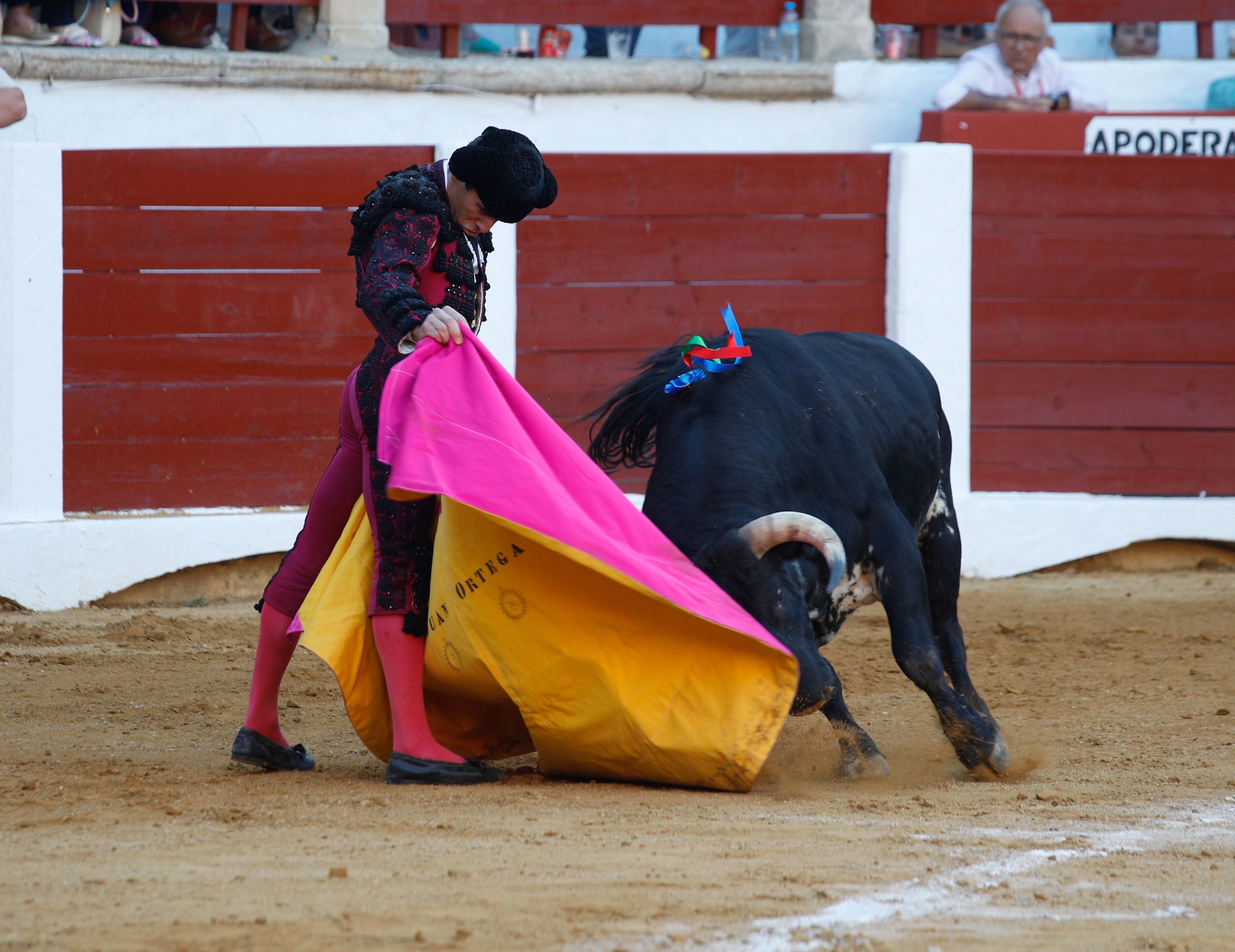 Fotos | Las mejores imágenes del regreso de los toros a Cáceres (II)