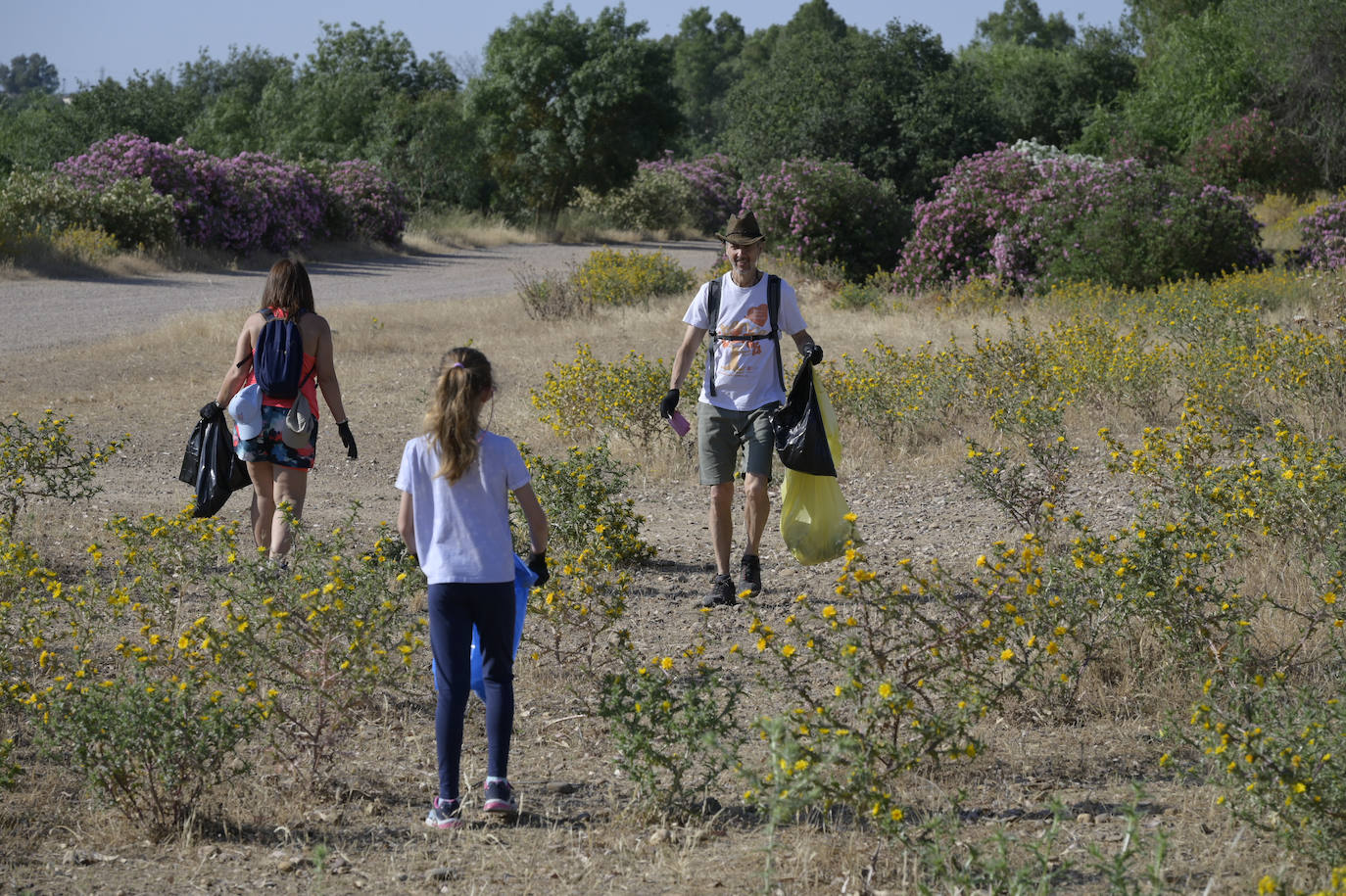 Imágenes de la jornada de limpieza de basura en el río Guadiana en Badajoz