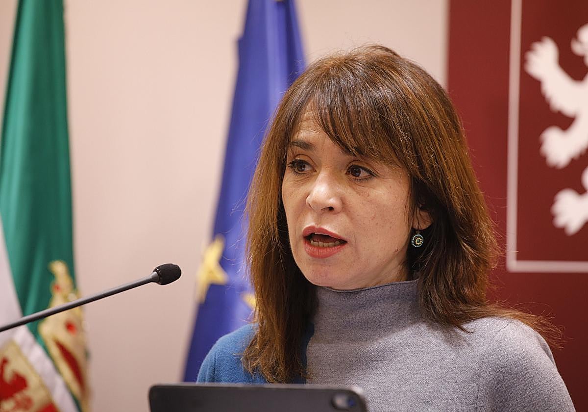El PSOE Acusa Al PP De Mentir Sobre El Carril Bici De La Avenida De La 