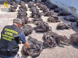 Material incautado por la Guardia Civil en la operación.