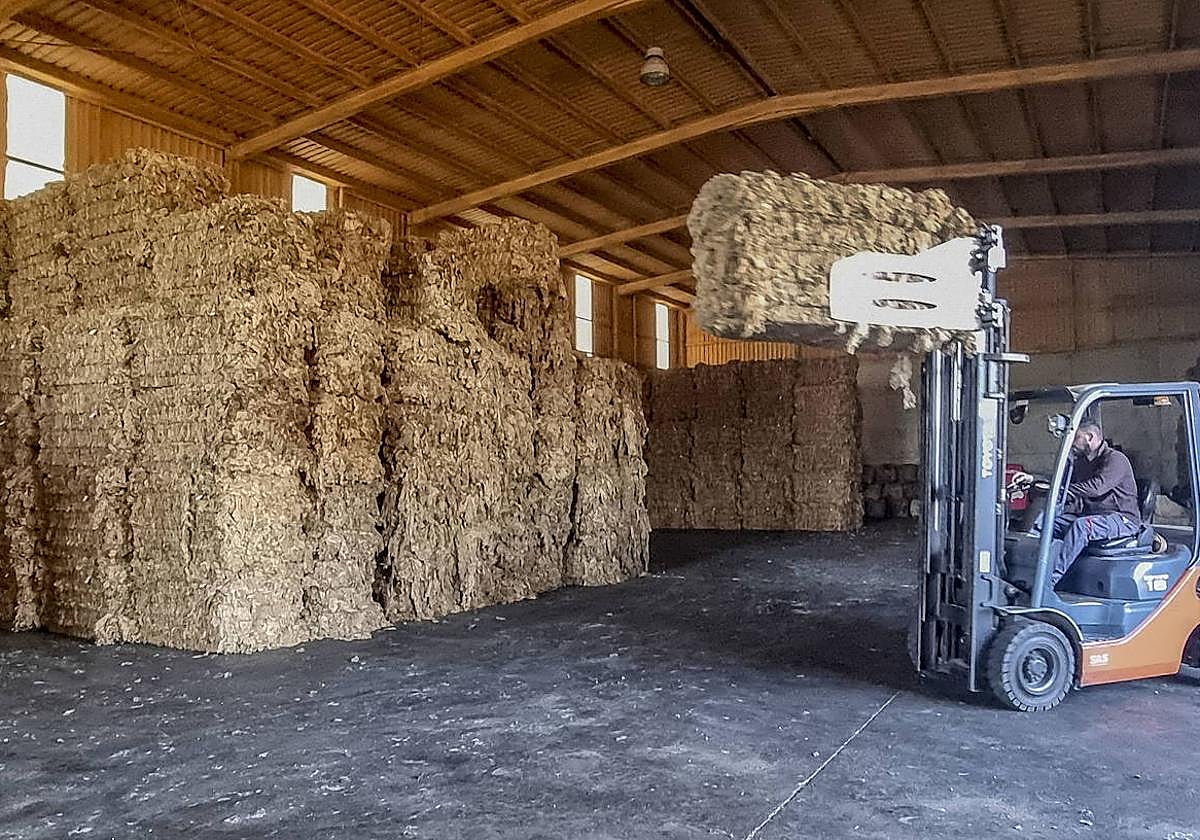 Lana acumulada del año pasado en la nave de Lanas Extremadura situada en el municipio de Trujillanos.