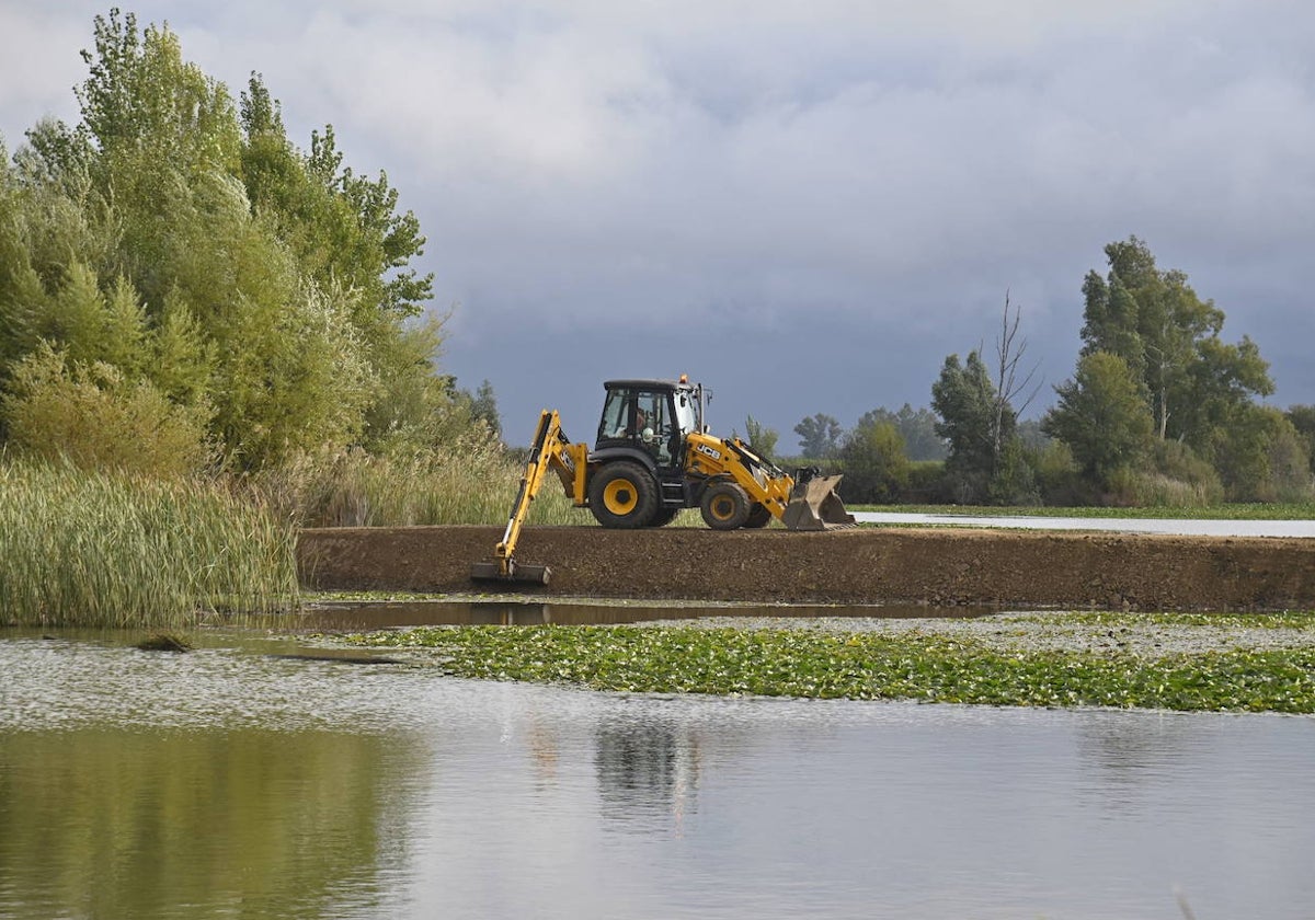 Obras en el azud de La Pesquera.