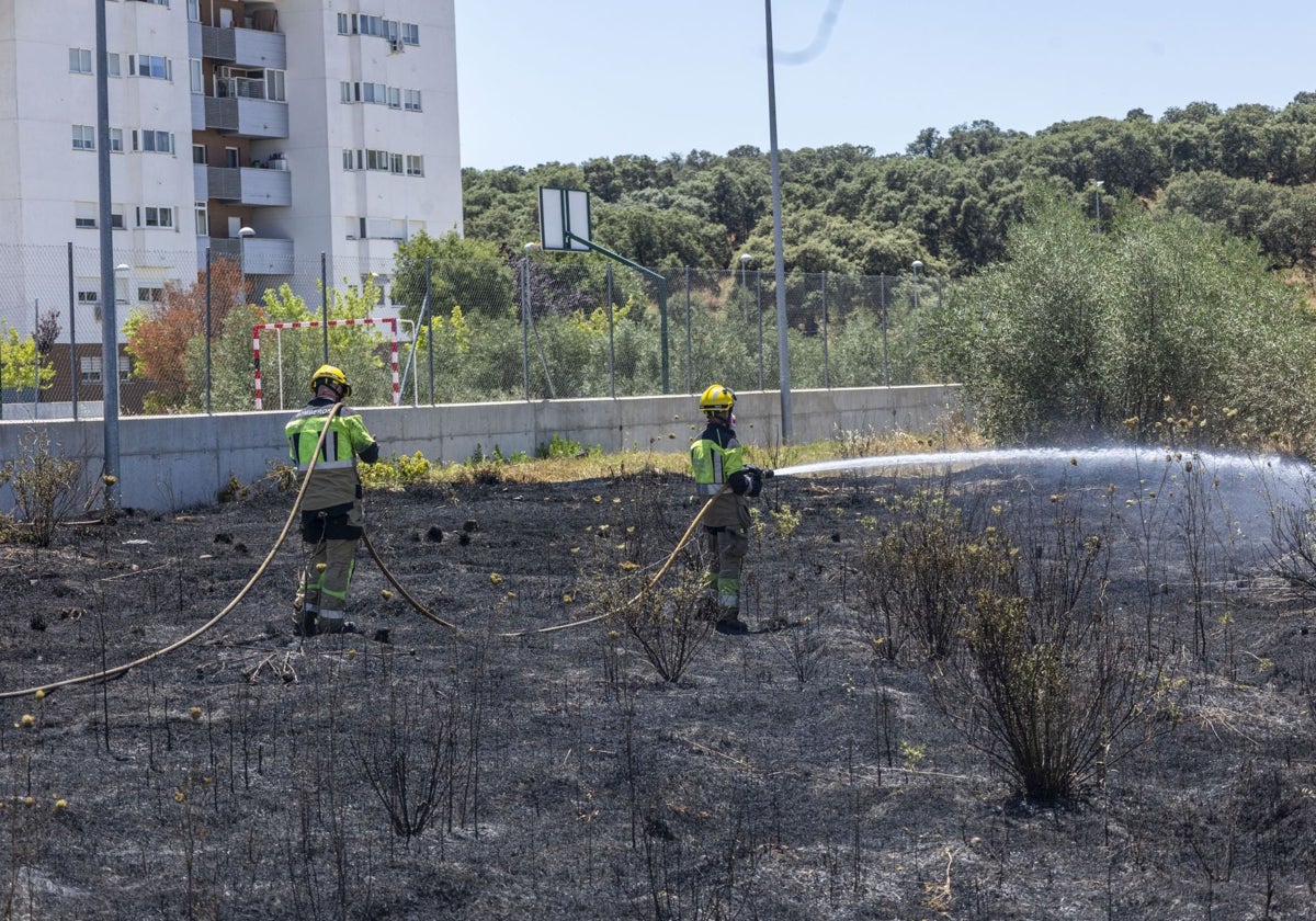 Bomberos en el incendio del Junquillo de este lunes.