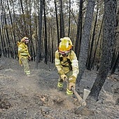 Fondenex propone llevar la prevención de incendios forestales a los colegios