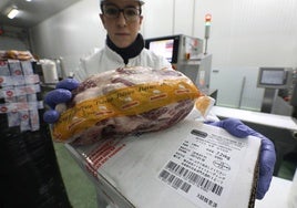 Carne (cabecero) de cerdo ibérico con destino a China en la factoría del grupo Montesano en Jerez de los Caballeros.