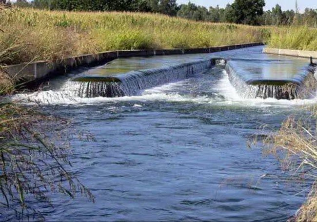 Canal de Orellana durante la campaña de regadío.