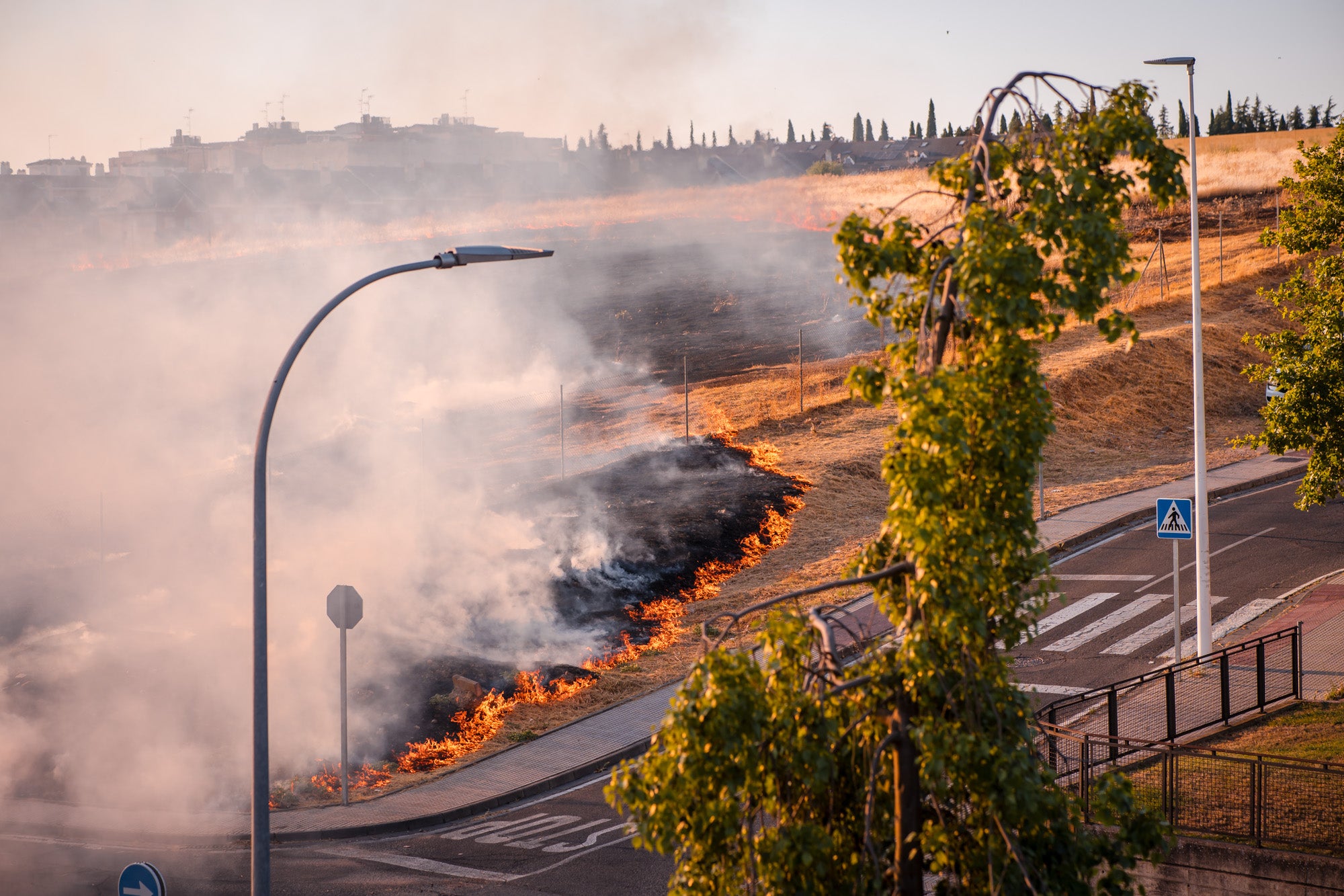 Así ha sido el llamativo incendio de pastos en Mérida