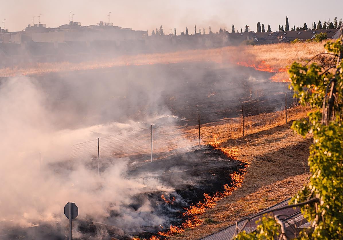 Así ha sido el llamativo incendio de pastos en Mérida