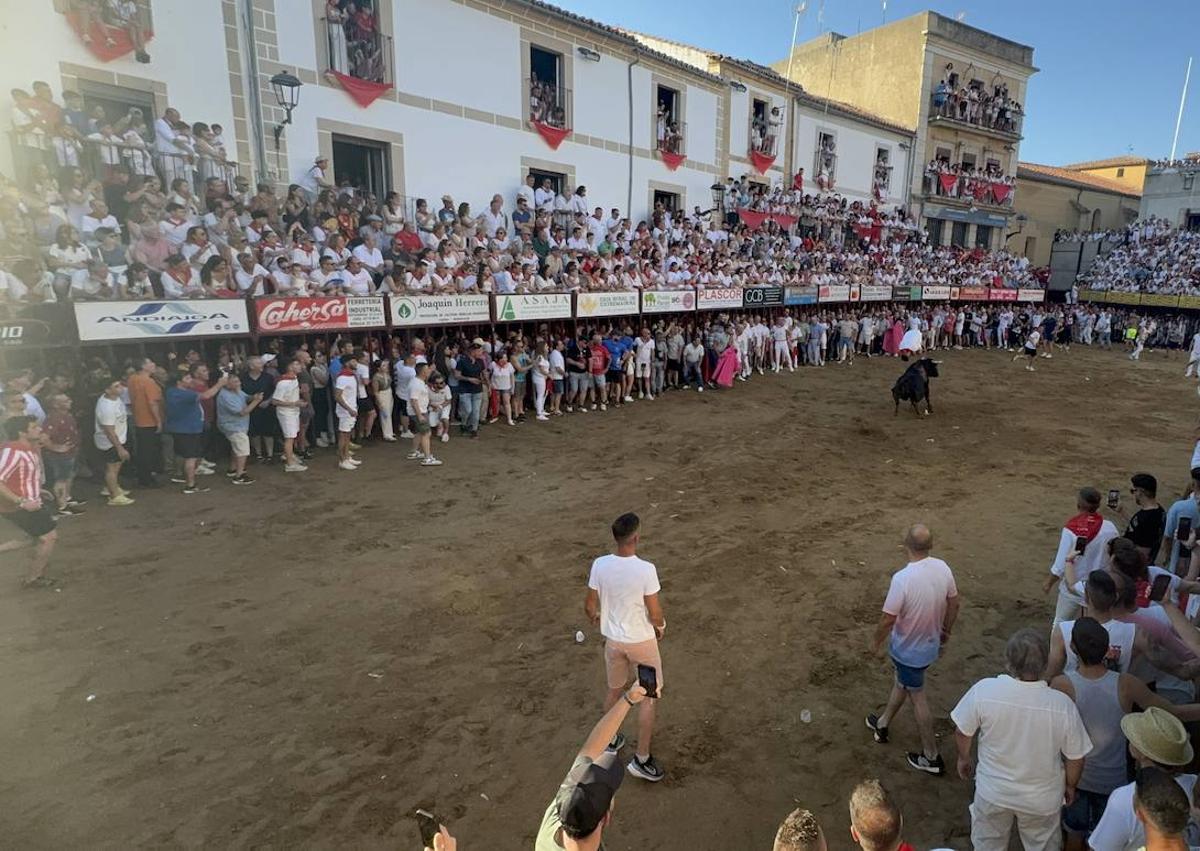 Imagen secundaria 1 - Brezo, con su impresionante cornamenta, cumple con las expectativas