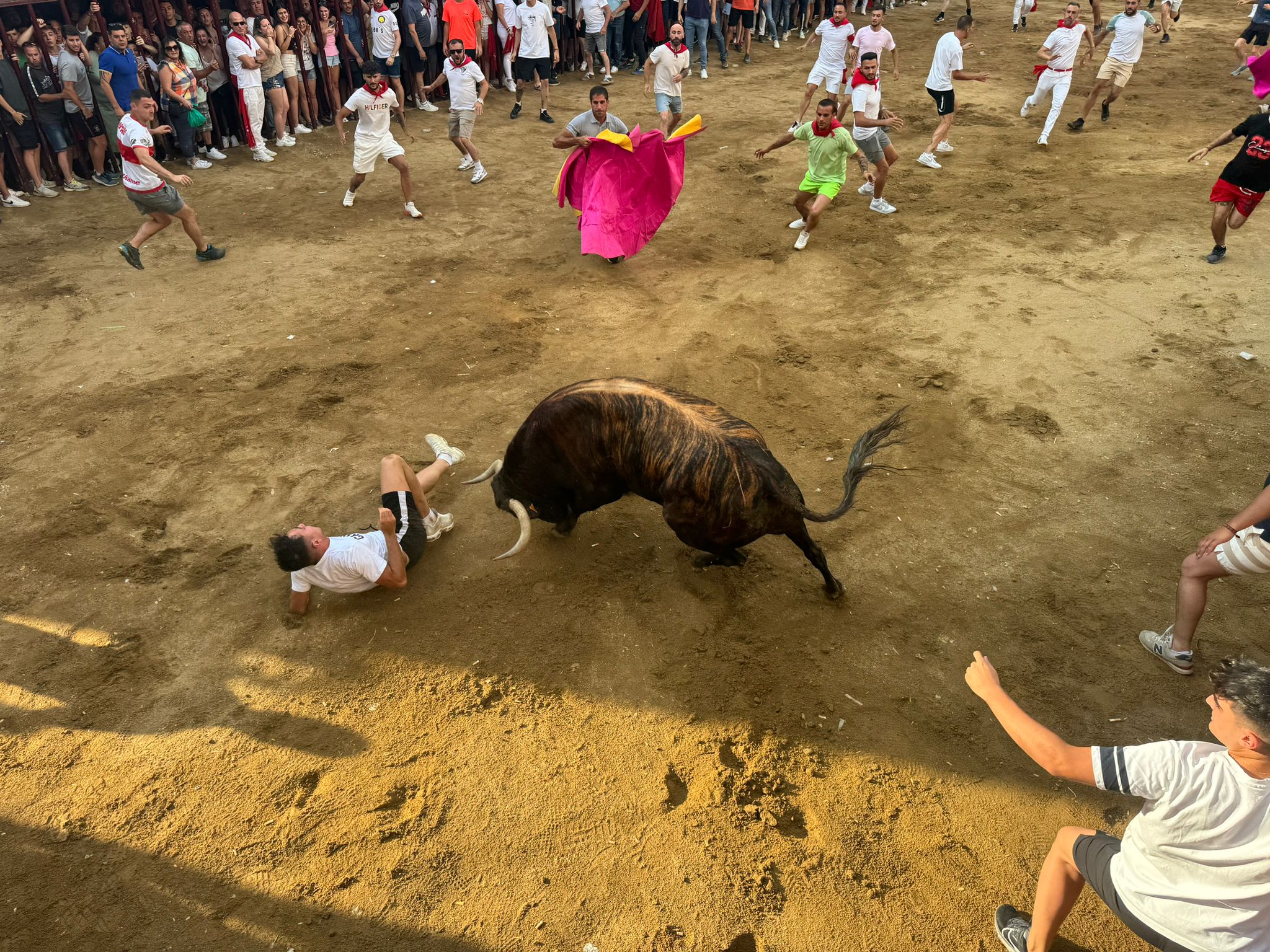 Así ha sido el espeluznante revolcón de un toro a un corredor en Coria