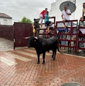 La tradicional lidia del novillo de promoción juveniles de Tonelero se celebra bajo la lluvia