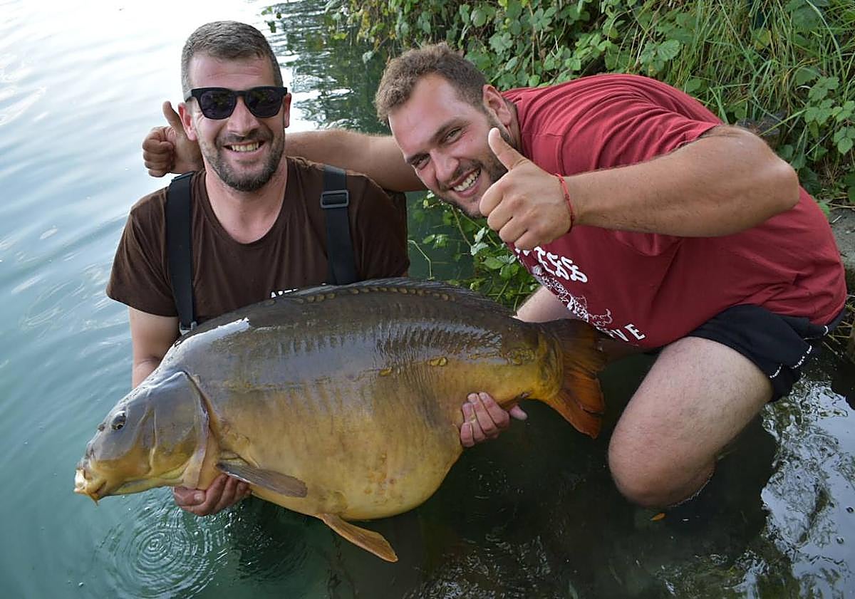 Imagen principal - Arriba, Jairo Canchado y Alberto Cacho, con la carpa pescada. Abajo, Alberto Cacho, cogiéndola antes de ser pesada con una báscula.