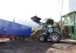 Tratamiento de residuos forestales en una planta de biomasa.