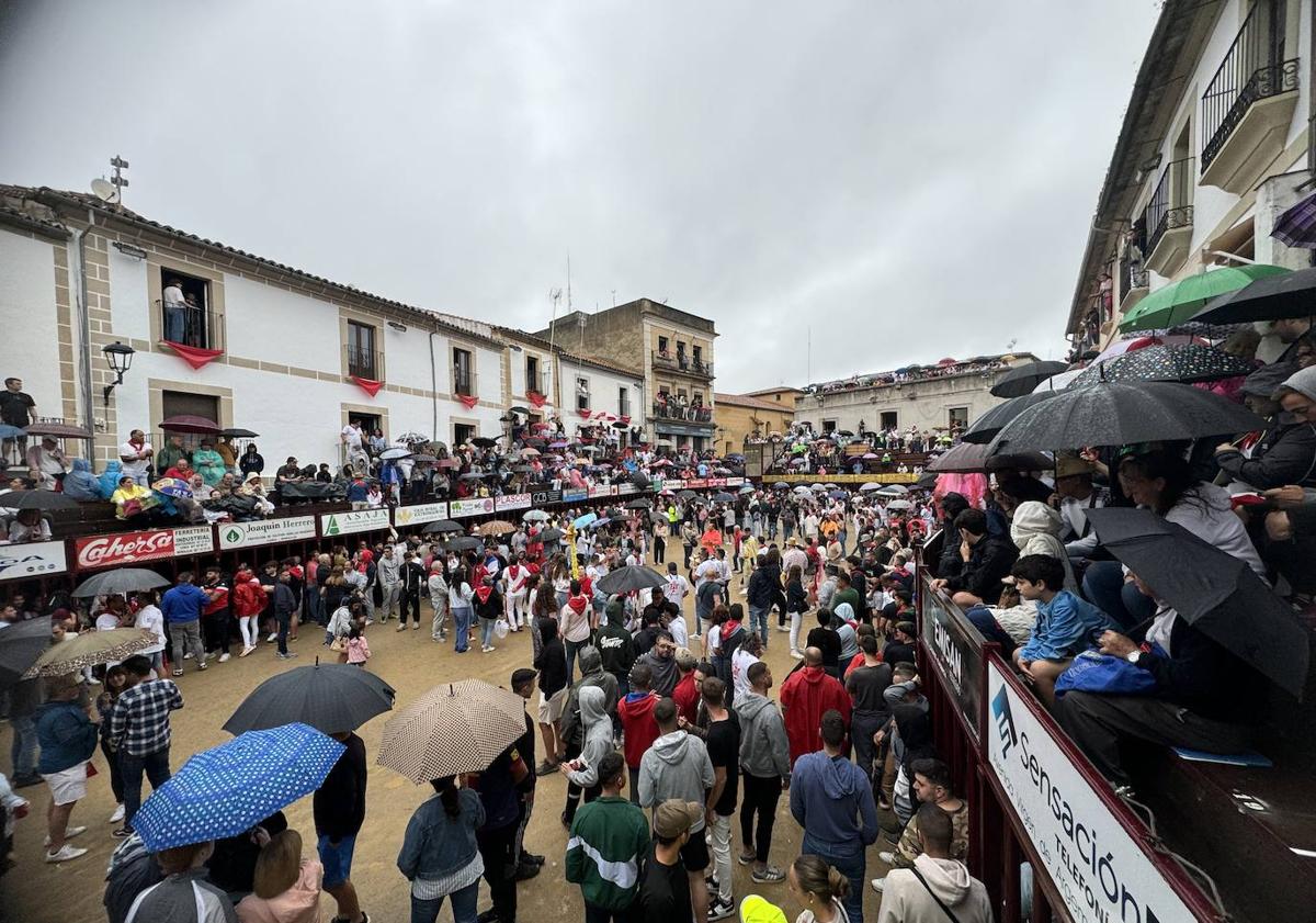 Imagen principal - Última lidia de San Juan 2024 en Coria llena de emoción