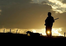 Un cazador con su perro en el campo.