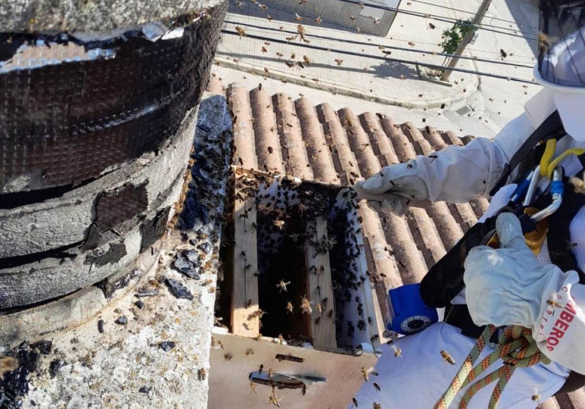 Actuación de los bomberos ante la presencia de abejas en un tejado.