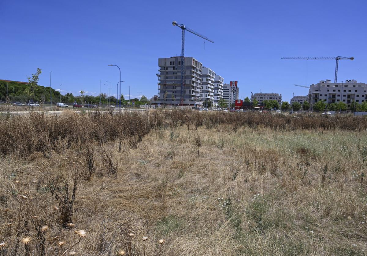 Las inversiones del presupuesto de Badajoz dependen de la venta de 9 parcelas