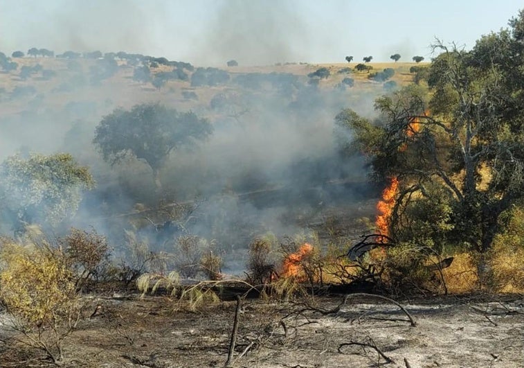 Incendio en Cabeza del Buey.