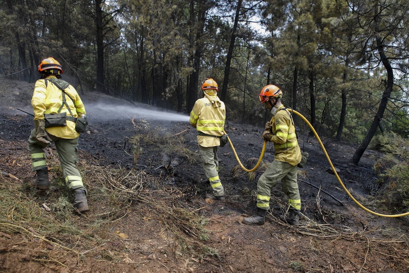 Imagen de archivo de bomberos forestales del Infoex trabajando en un incendio.