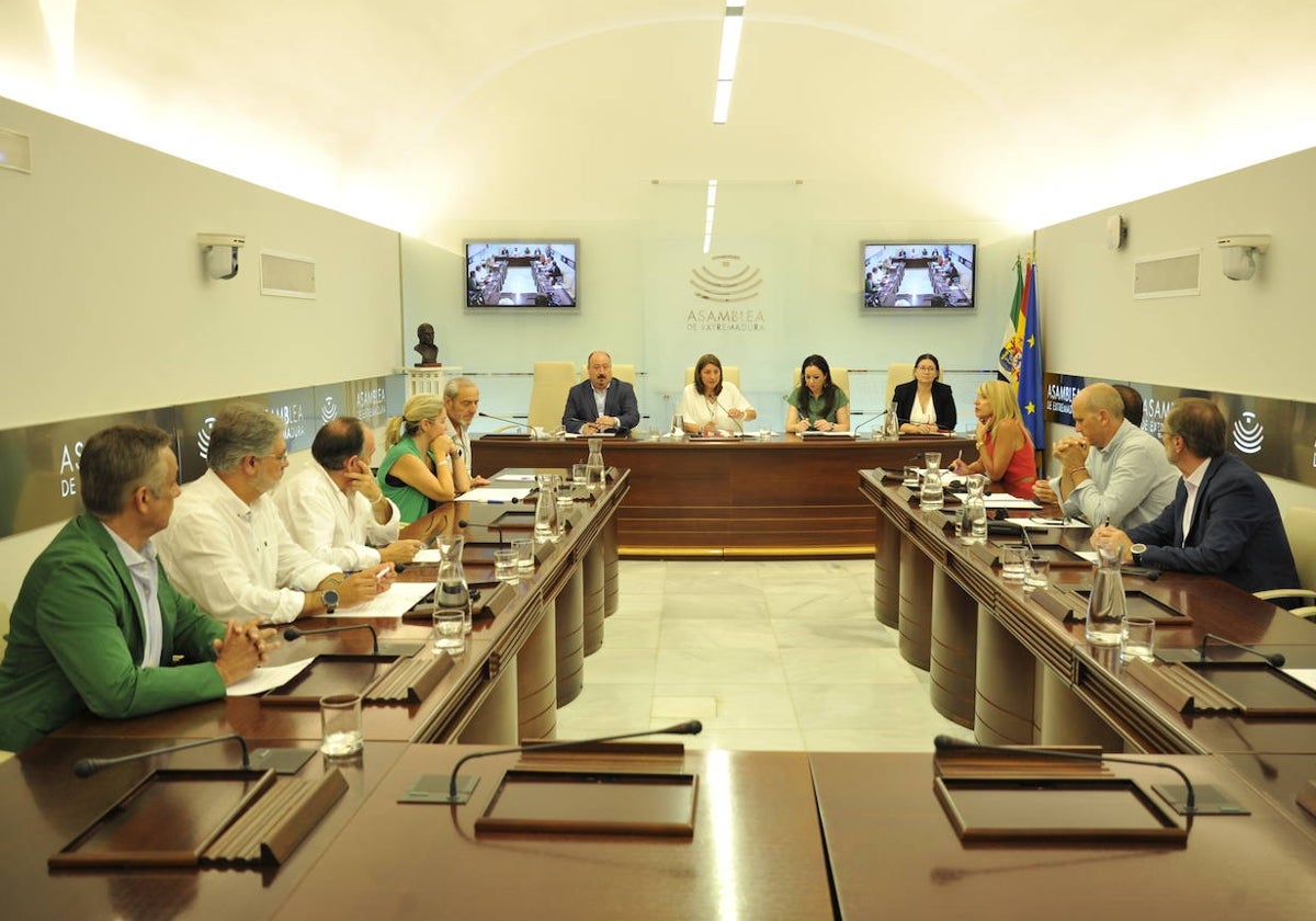 Constitución de la comisión de investigación este martes en el Parlamento regional.