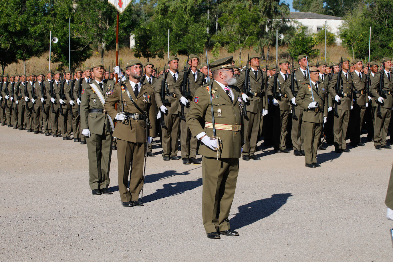 Las mejores imágenes de la jura de bandera en Cáceres (II)