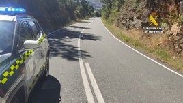 La Guardia Civil ha regulado el tráfico en la carretera CC- 423 mientras antendían al herido.