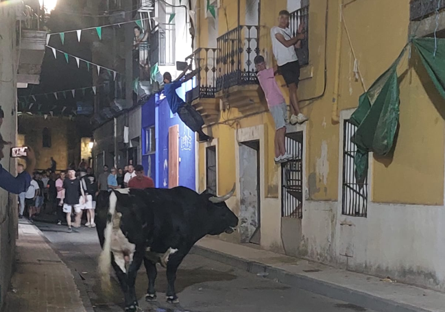 El toro que hirió al joven francés en la madrugada del sábado.