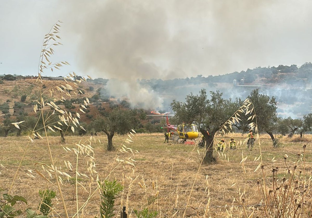 Un bombero junto a la zona del incendio en Salvatierra, ayer, junto al camino del Borbollón.