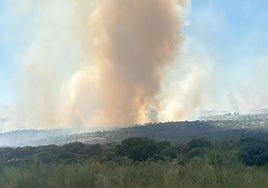 Imagen del incendio en la planta fotovoltaica de Talaván, el pasado sábado.