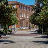 Vídeo: En busca de la sombra en Badajoz durante la ola de calor