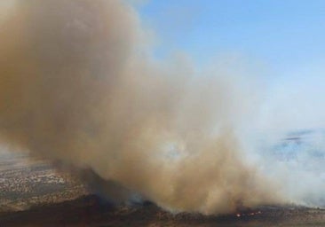 El Infoex trabaja en tres incendios en Extremadura con nivel 1 de peligrosidad