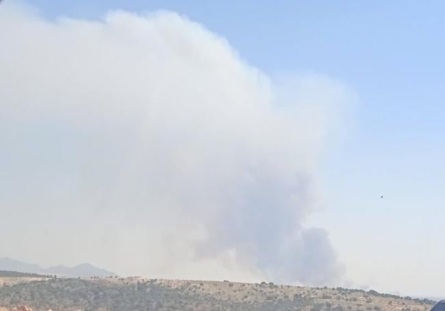 Columna de humo del incendio de Ribera del Fresno.