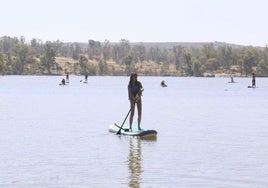 Un grupo de niños practicando paddel surf en Proserpina.