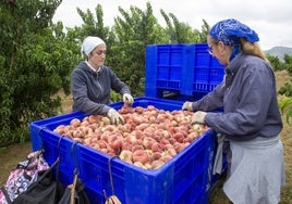 El sector primario ha creado más de 11.000 empleos en el segundo trimestre del año.