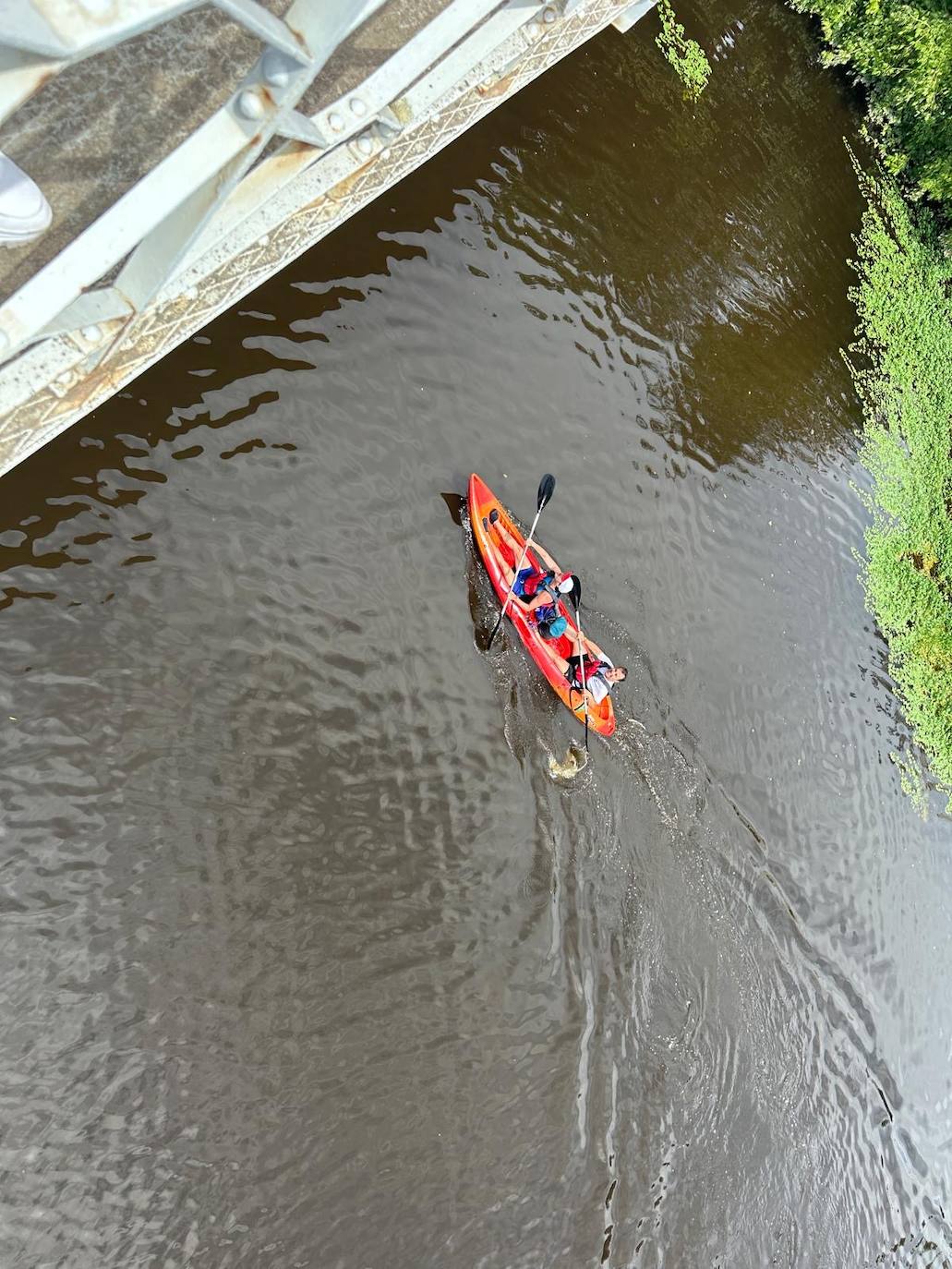 Fotos | Así ha sido el Descenso del Río Alagón en Coria