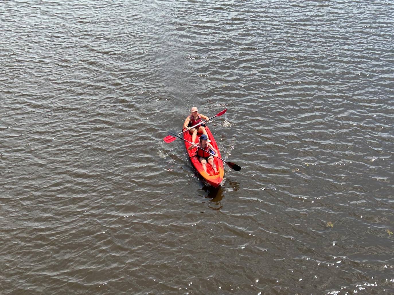 Fotos | Así ha sido el Descenso del Río Alagón en Coria
