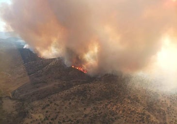 El Infoex interviene en 24 incendios forestales esta semana