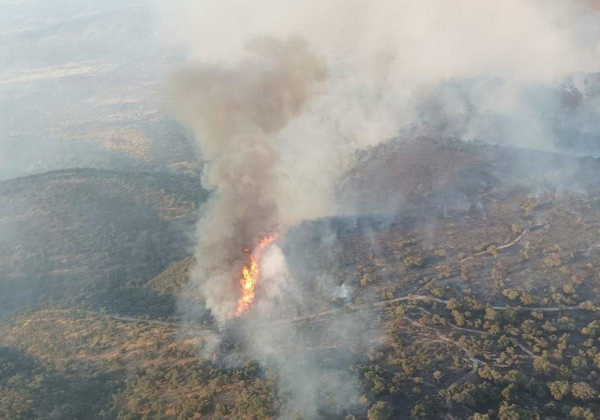 Incendio forestal registrado en el término municipal pacense de Puebla del Maestre